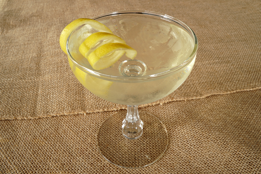 Modern Gin Martini